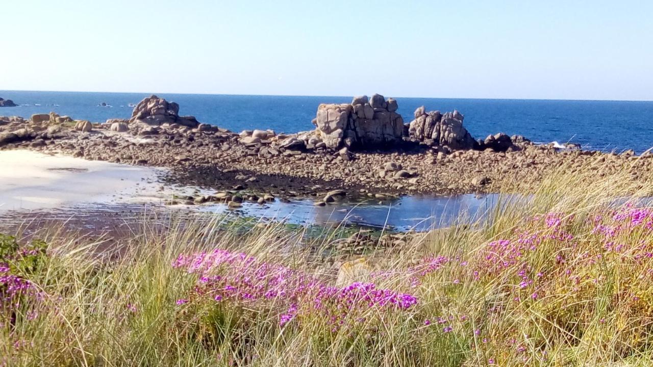 Tiny House Sur La Cote Bretonne Villa Cléder Kültér fotó